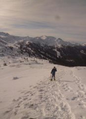 il crinale