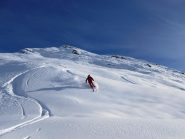 Farina e ...Farinel...