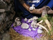 Di carta bagnata e pressata