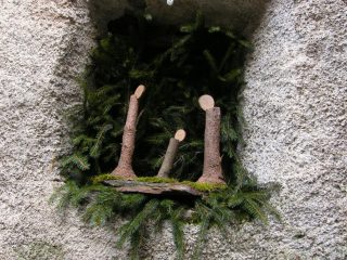 Con i rametti di pino