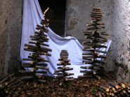 Di rametti, similpino