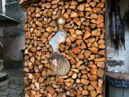 Nella legna tagliata