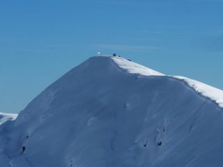 anche il Tibert non'è solo