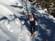 quasi fuori dal bosco