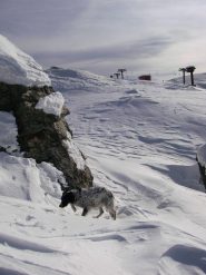 a mio agio sulla neve in quota