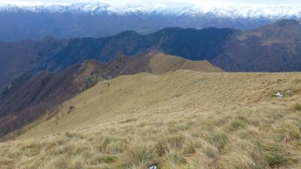 da Cima Saler