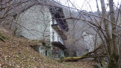 Zambranch