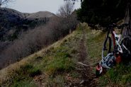 in vista del Ceppo