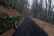 la strada di dorsale nella faggeta
