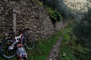 il cammino alato