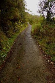 la ripida cementata che prende quota