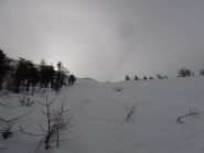 01 - fuori dal bosco inizia a soffiare il vento