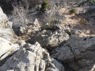 06 - via Mike verso la crestina finale