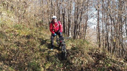 impiantato nel bosco..