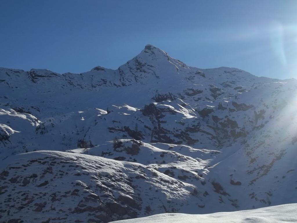 la nostra elegante meta