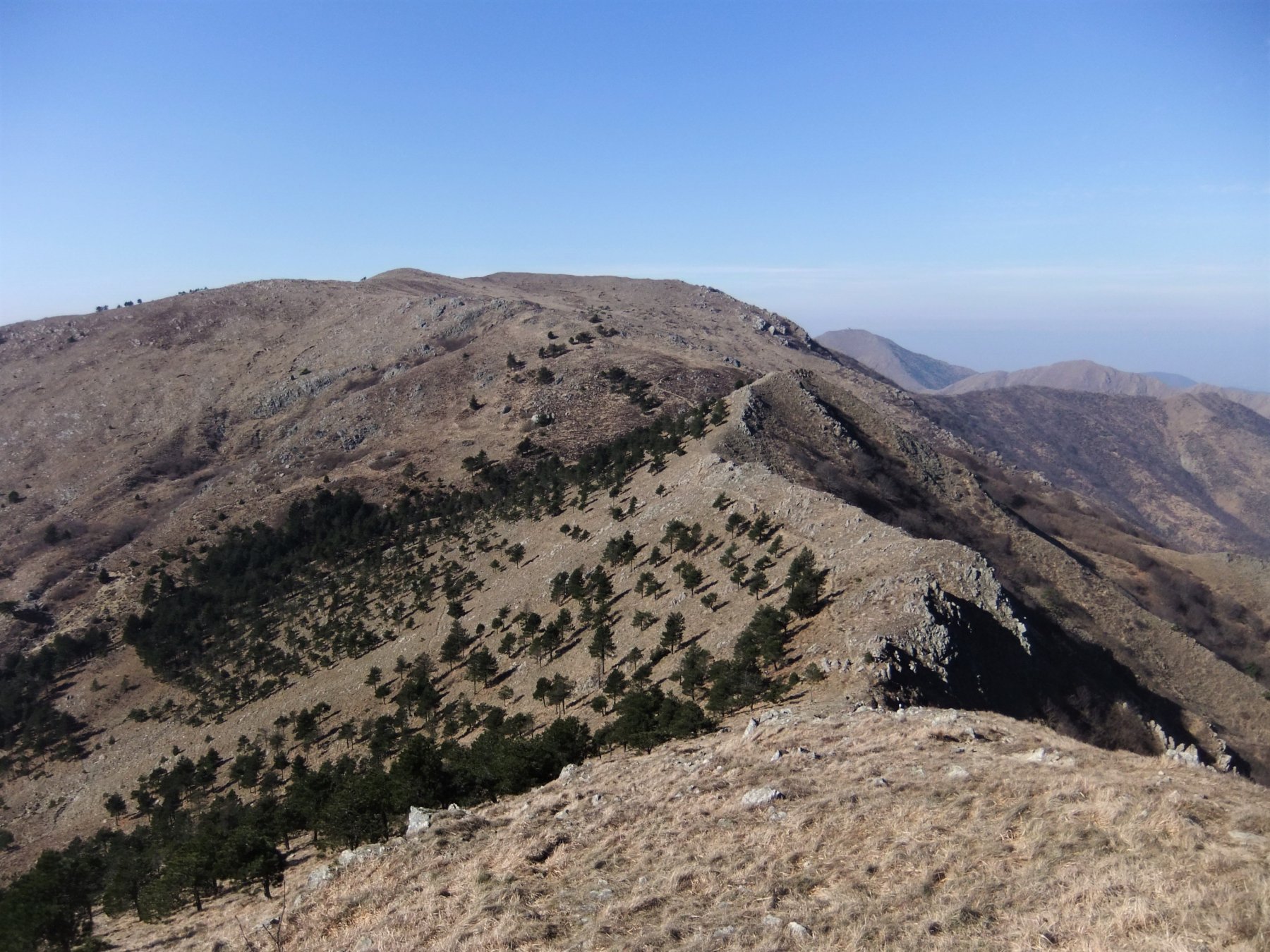 Dal Taccone verso le Figne