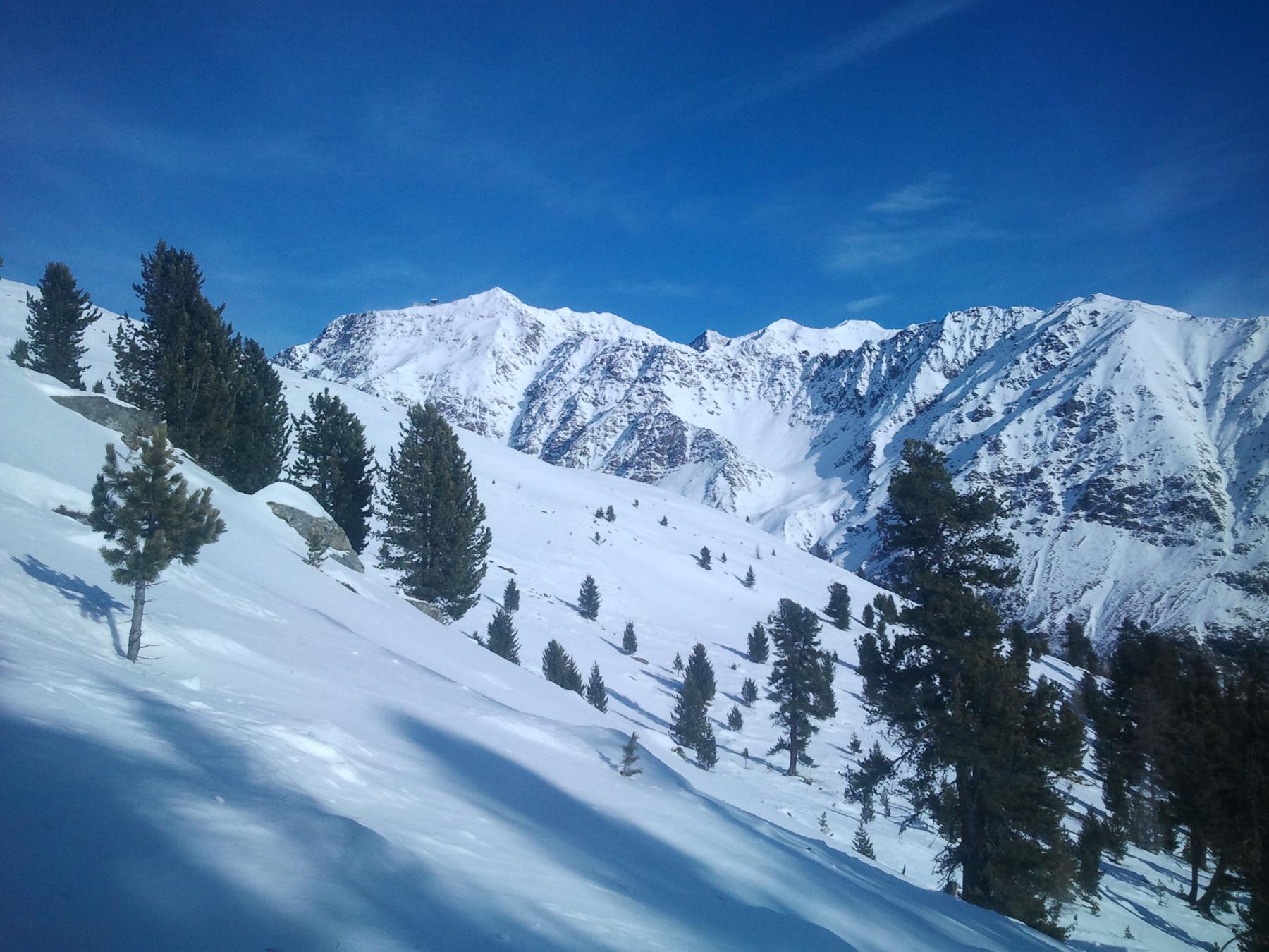il bosco rado intorno ai 2300 m