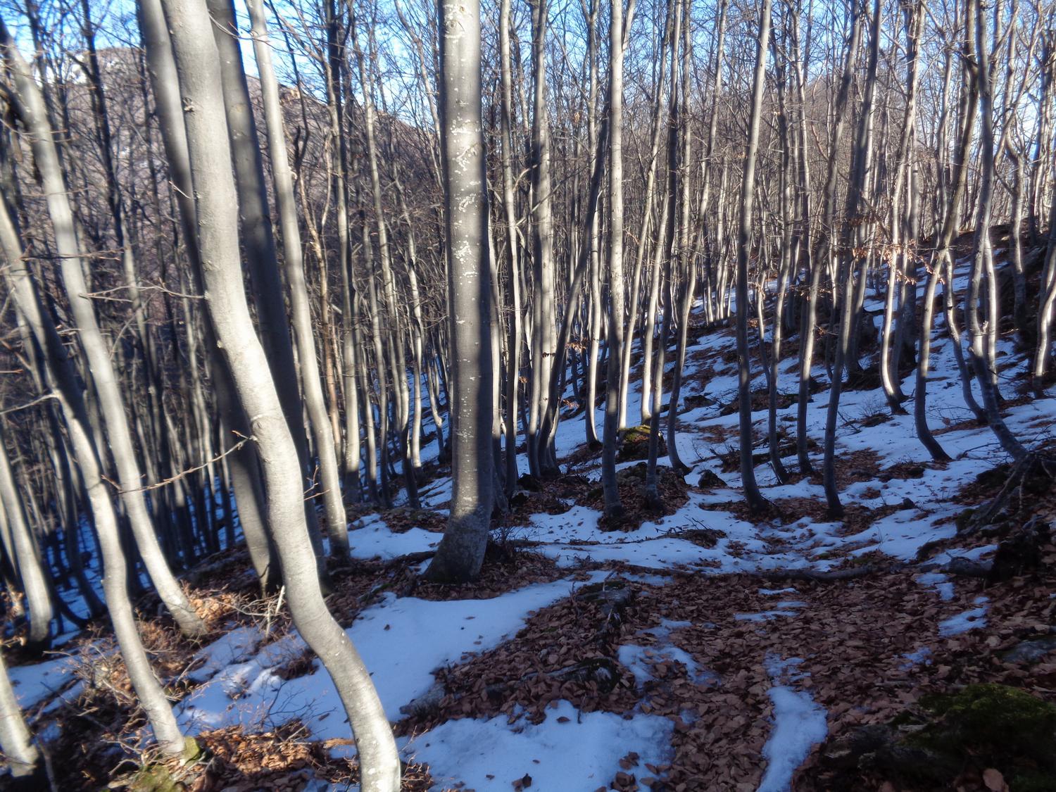 un po di neve ghiacciata per arrivare al S.Pons