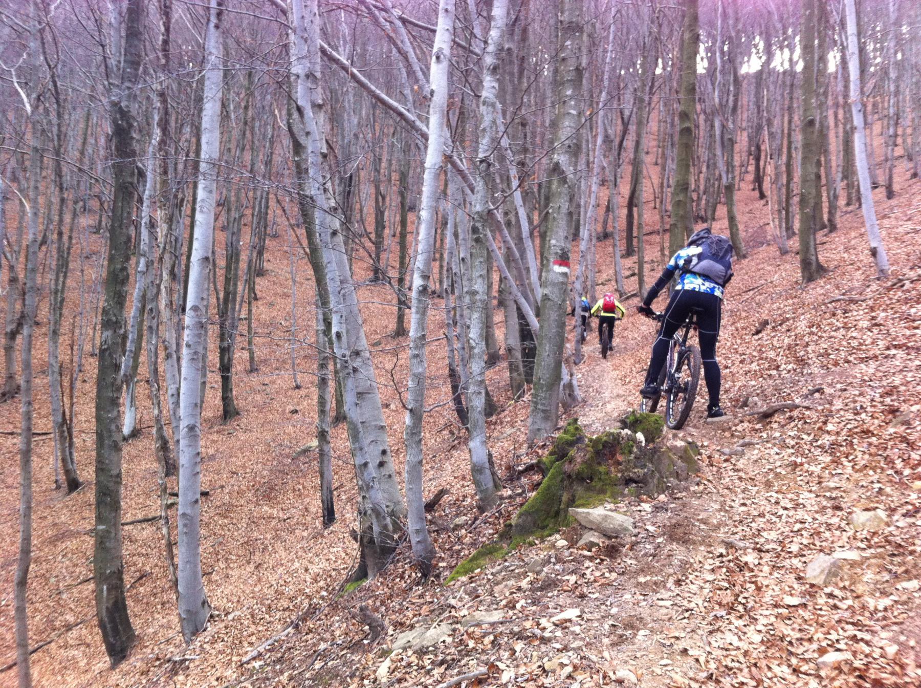 il faggeto alla fine del portage