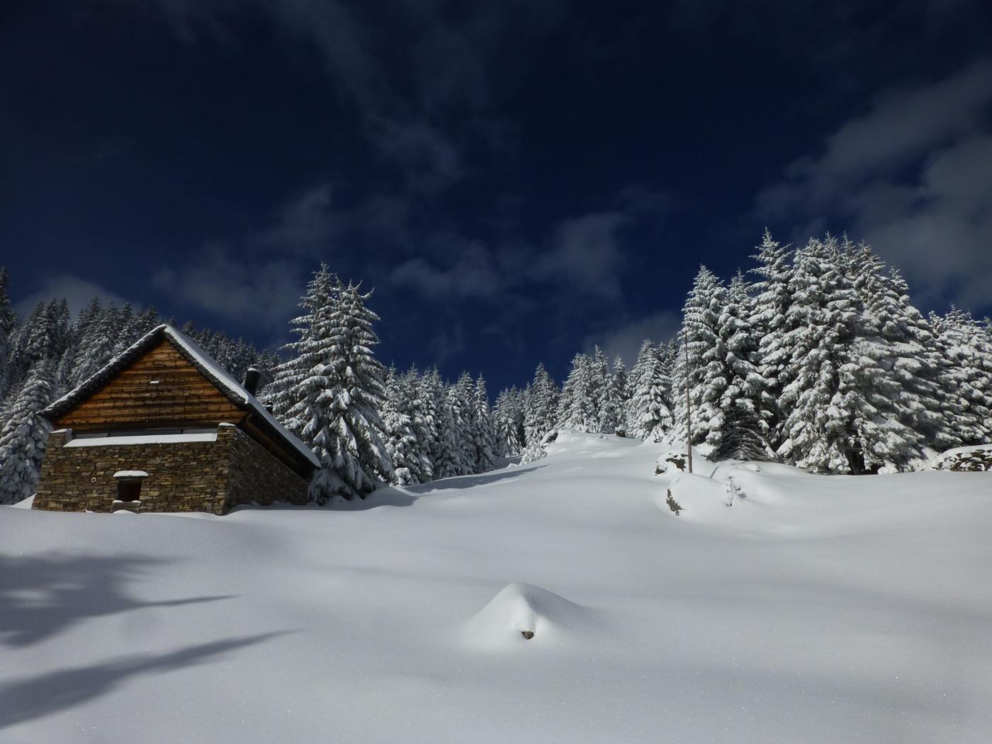 Cielo blu su neve vergine