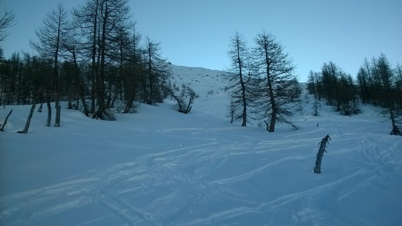 Alla fine del bosco
