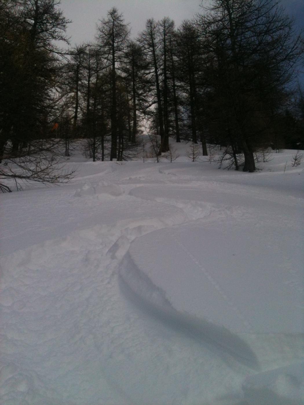 poco tempo per le foto, tanto lavoro da fare :)