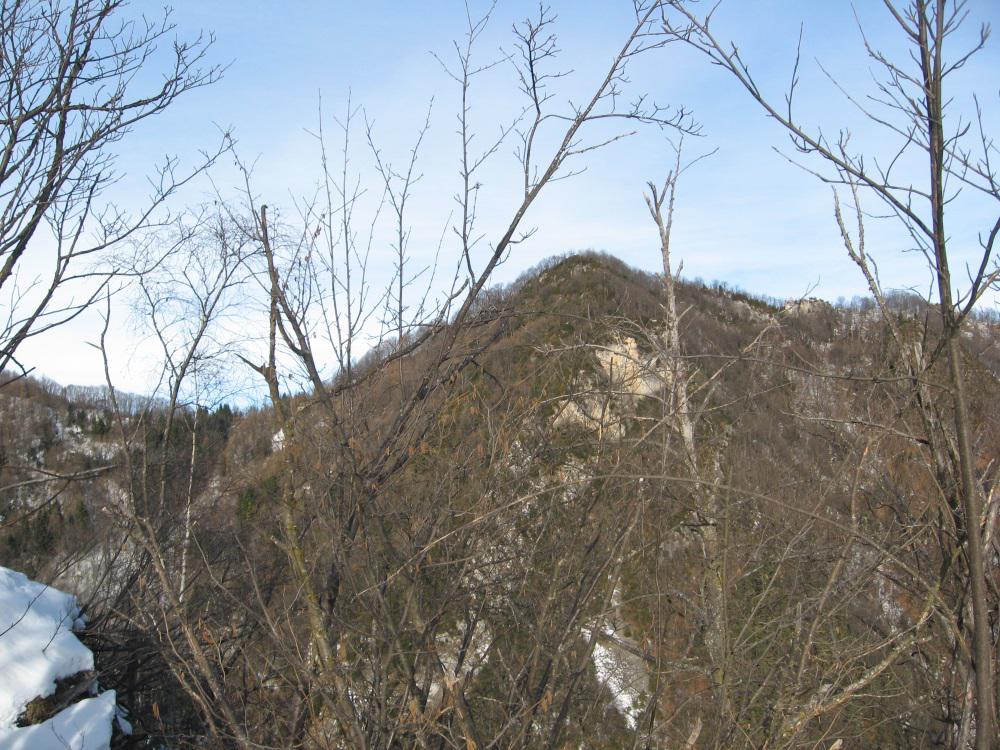 Il boscoso monte la Tressa dalla punta Allardo 