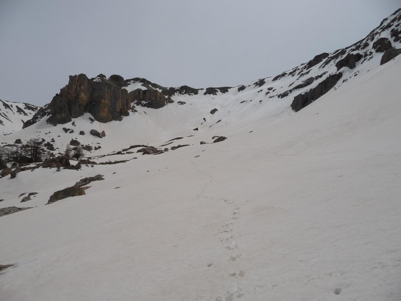 Alpavin - versante N