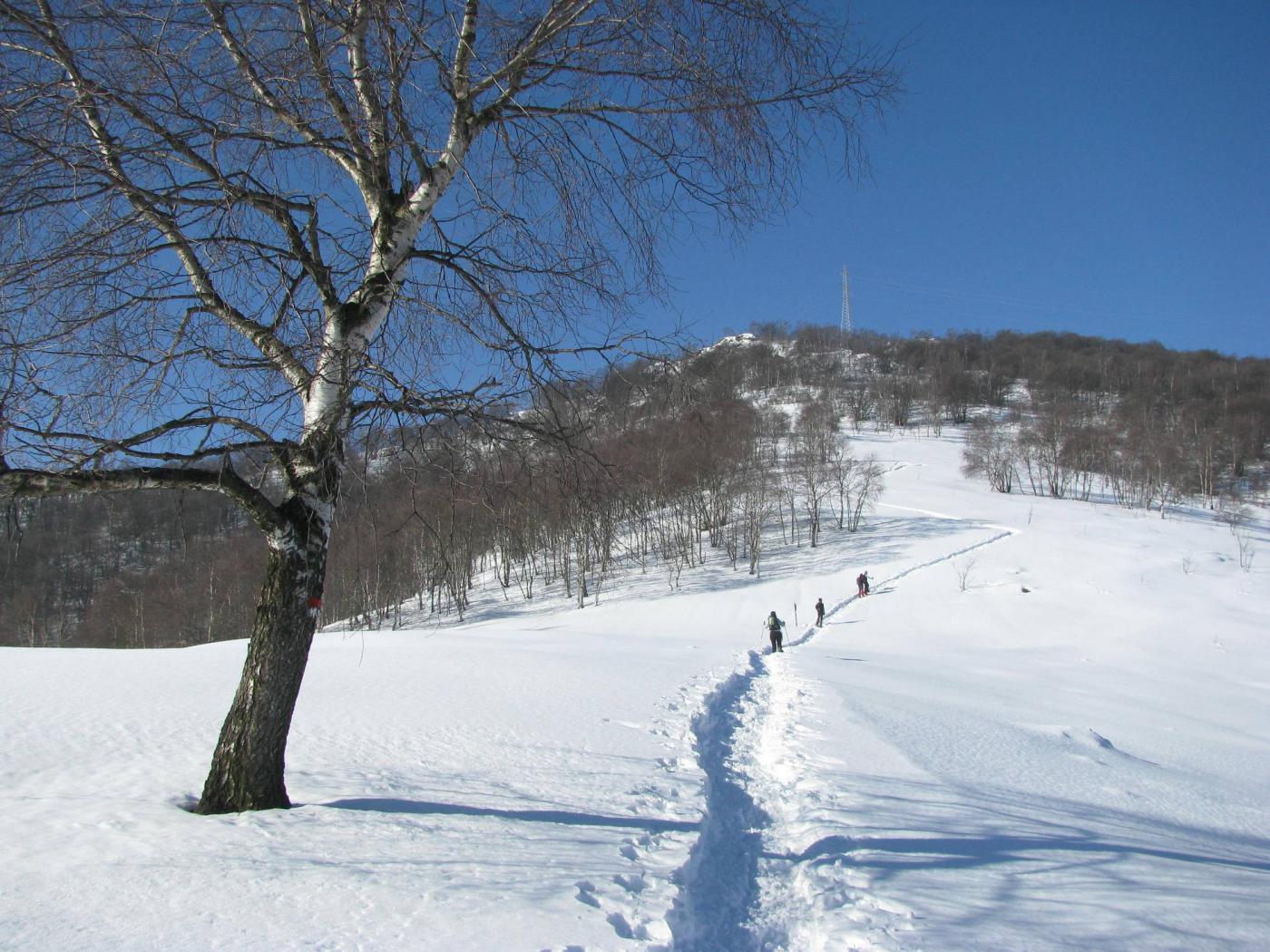 Il gruppo che mi precede