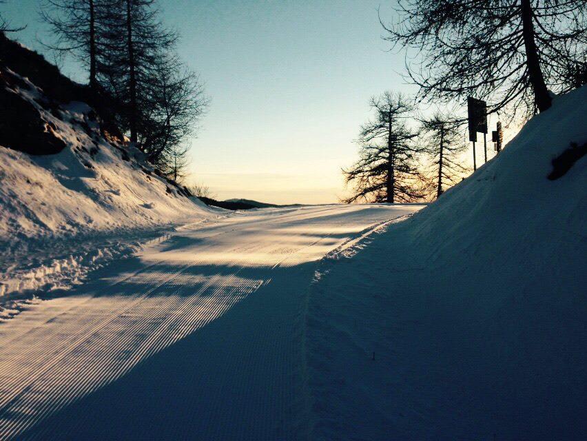 colletta delle salse