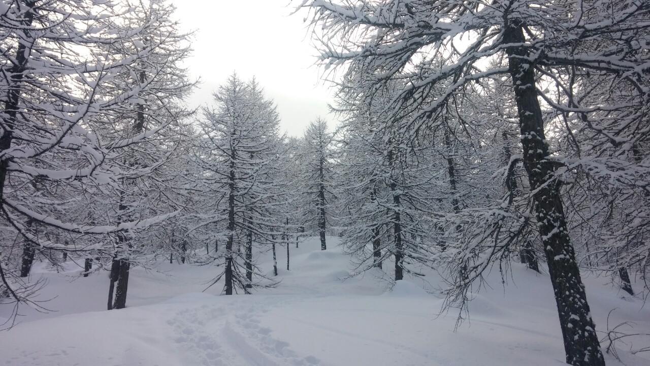 paesaggio fiabesco in salita