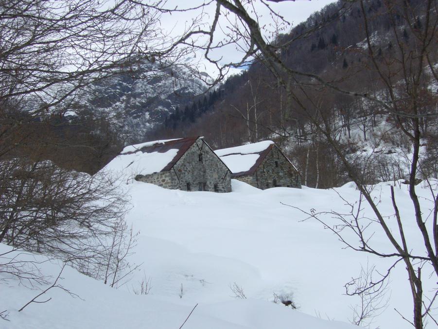 Localita' Tegge le piane