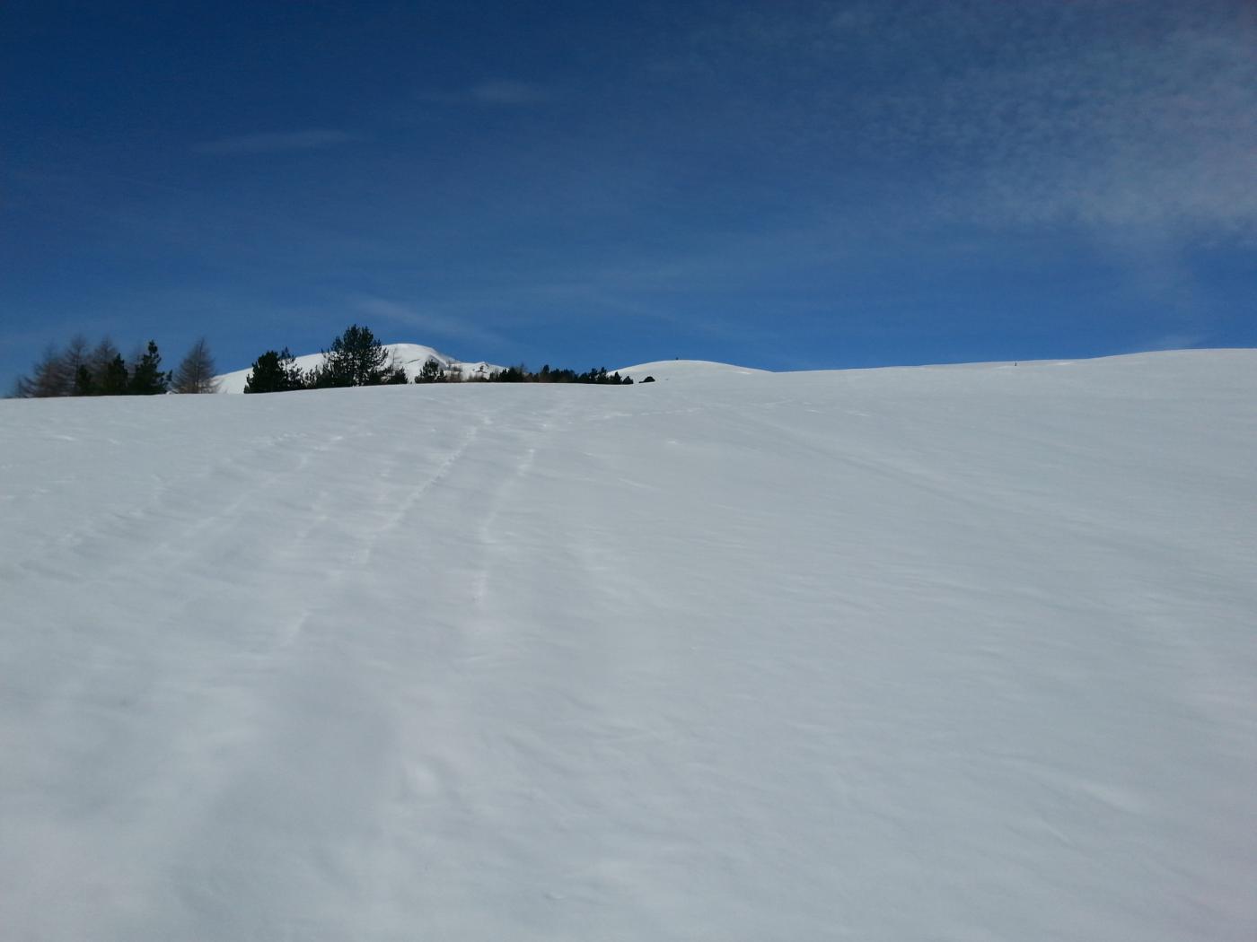 Sbucato sulla dorsale