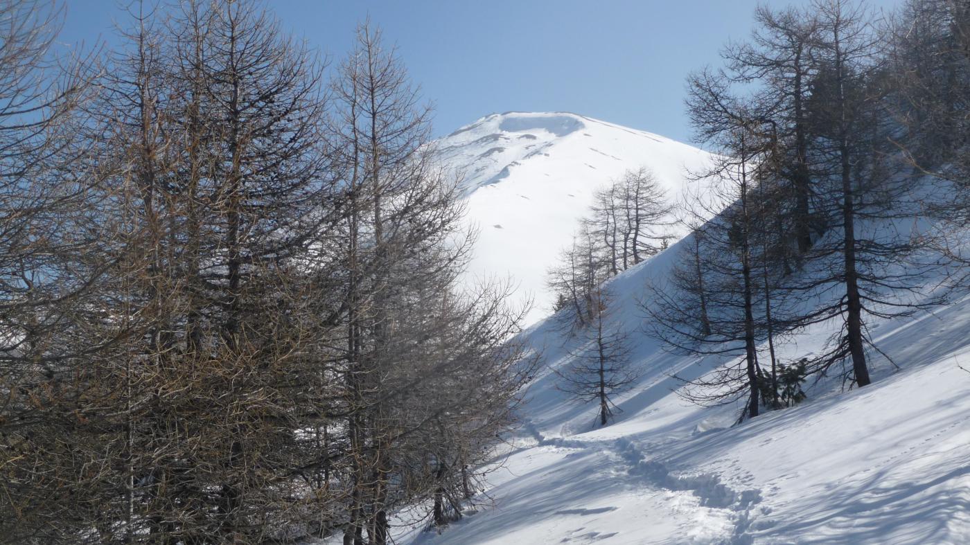 ultimi metri nel bosco e lassù la cresta finale