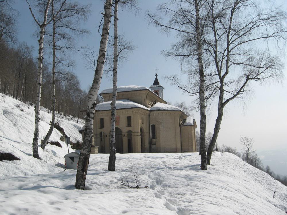 Madonna delle betulle