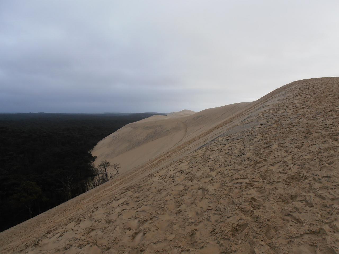 01 - Sulla Dune du Pyla