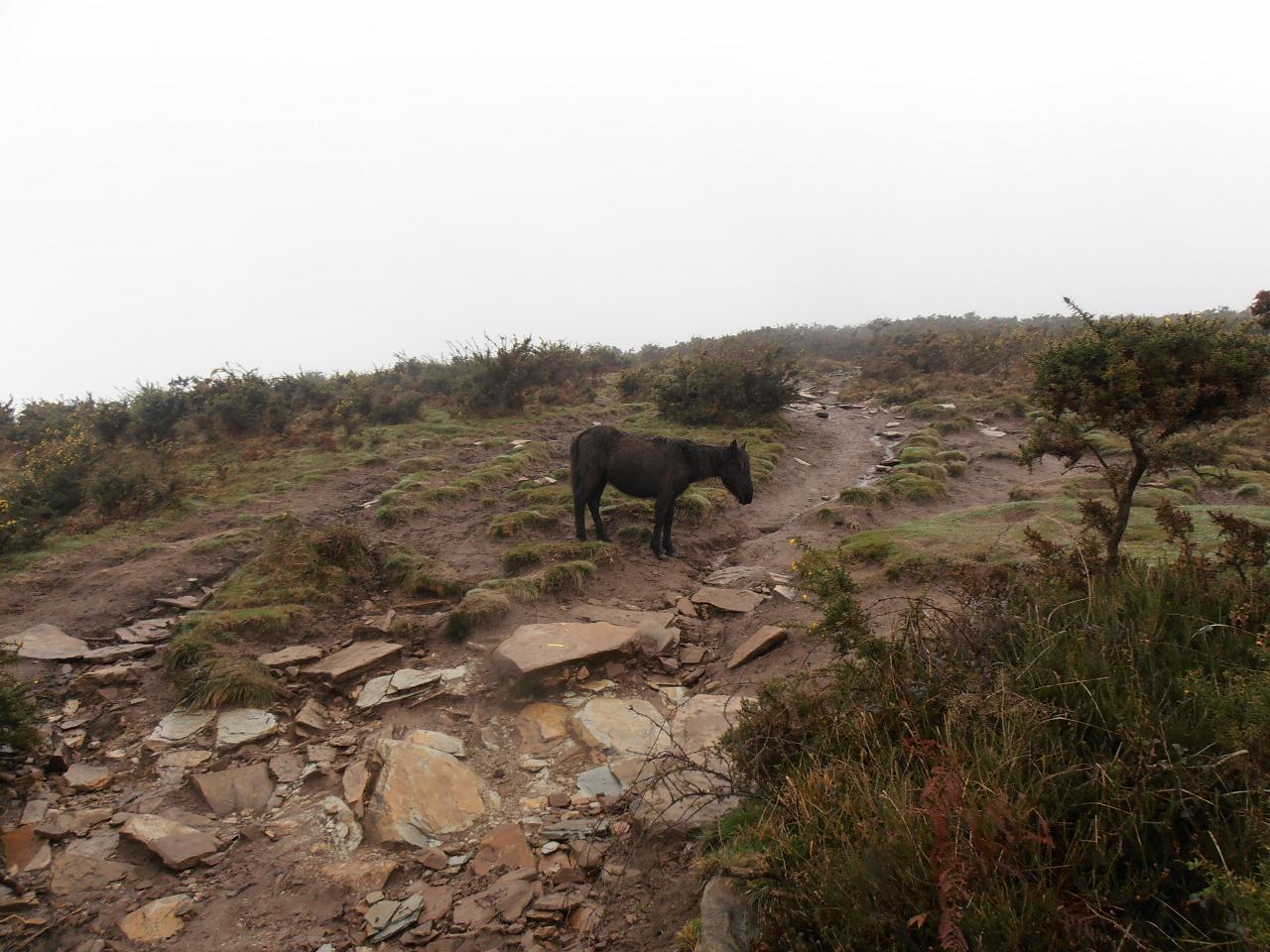 04 - terreno molto scivoloso nella prima parte di salita