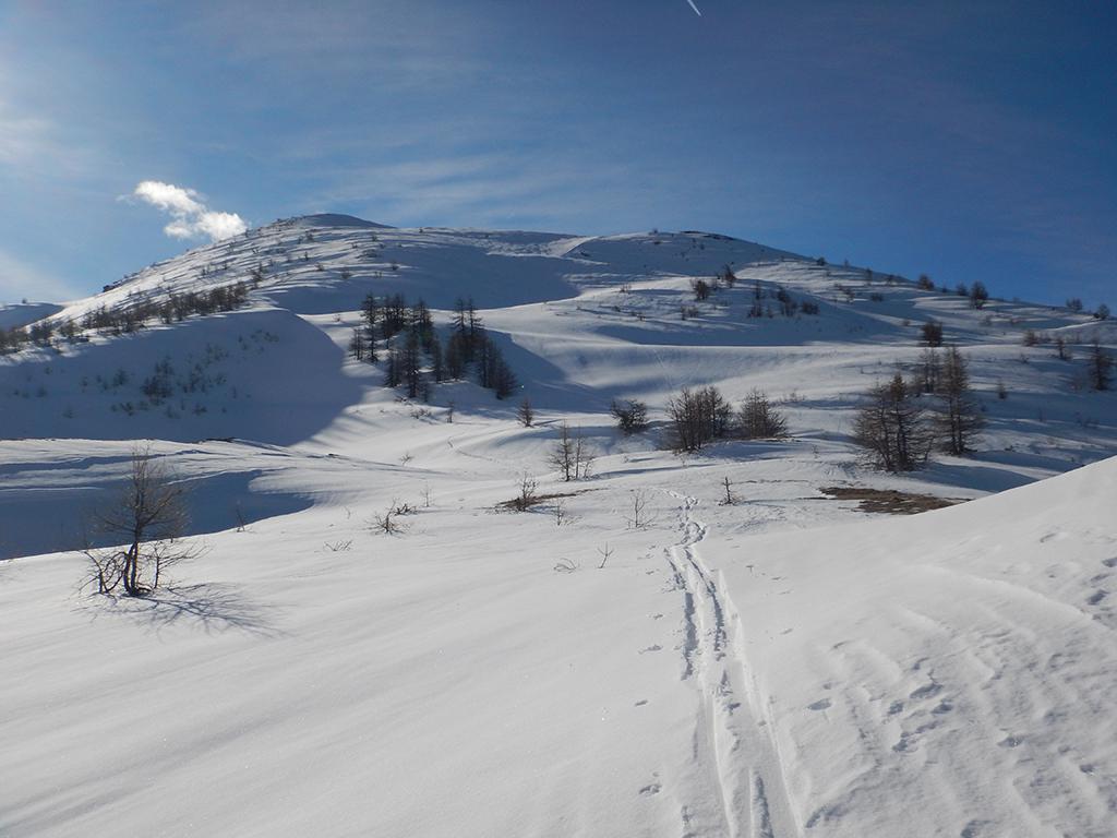 Sullo sfondo a sx la cima