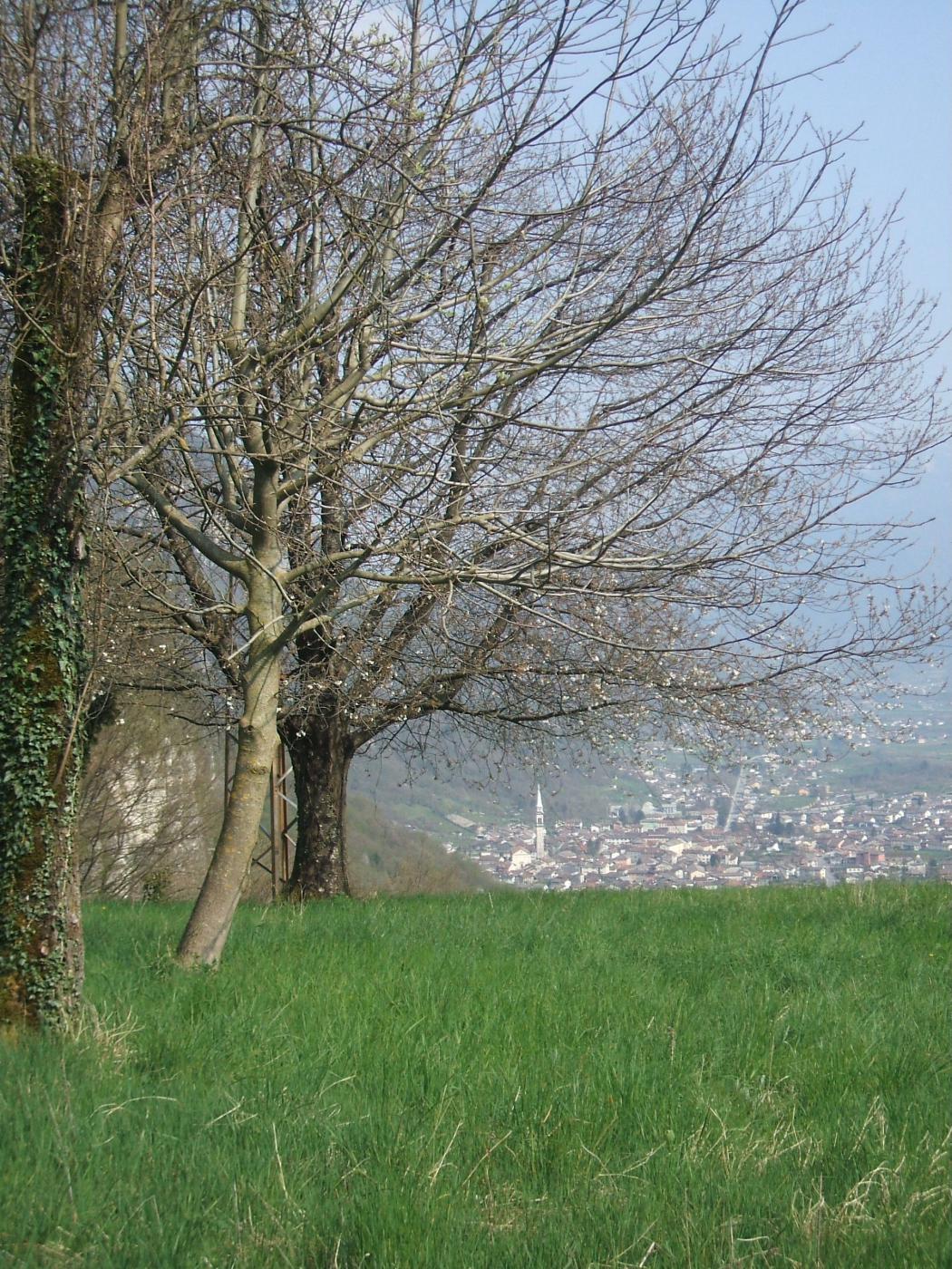 Fonzaso vista dalla radura del Col Bel