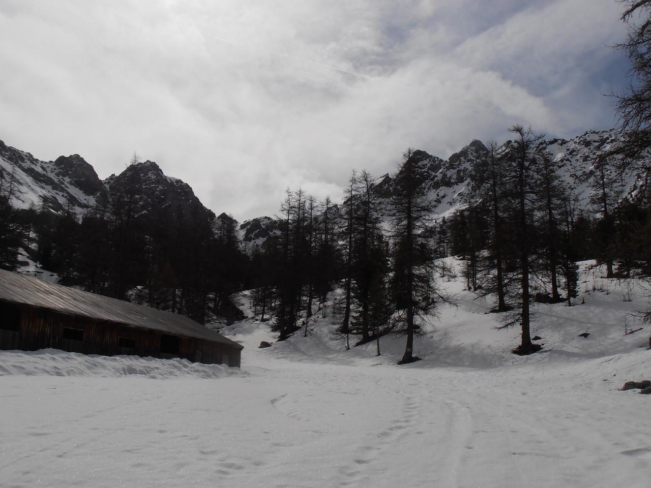 06 - verso l'uscita dal bosco, quasi giunti agli Chalets de l'Alpe