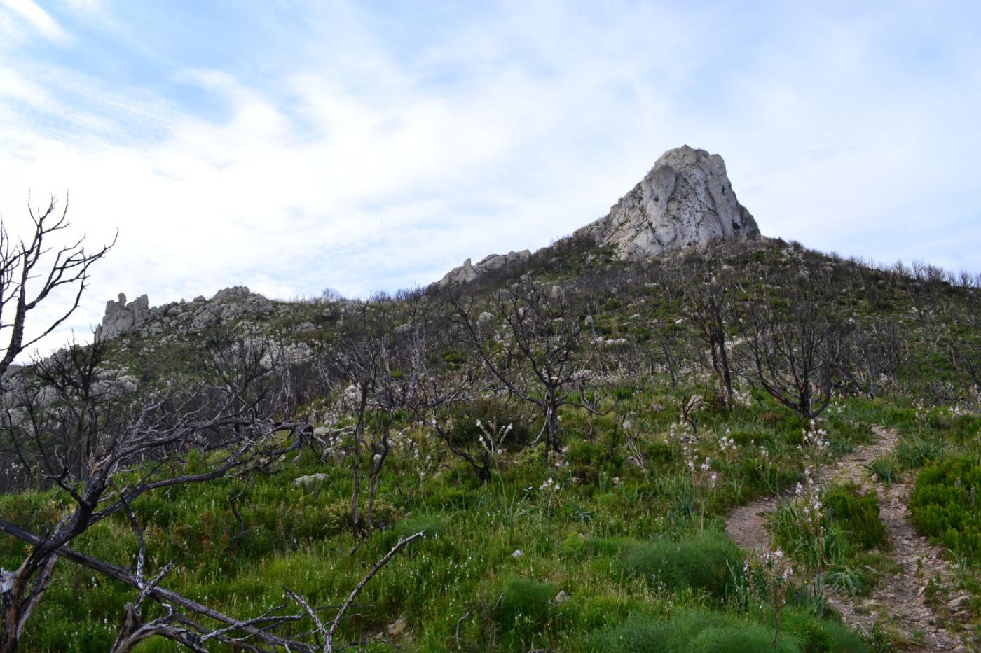 il promontorio roccioso di Monte Ruju