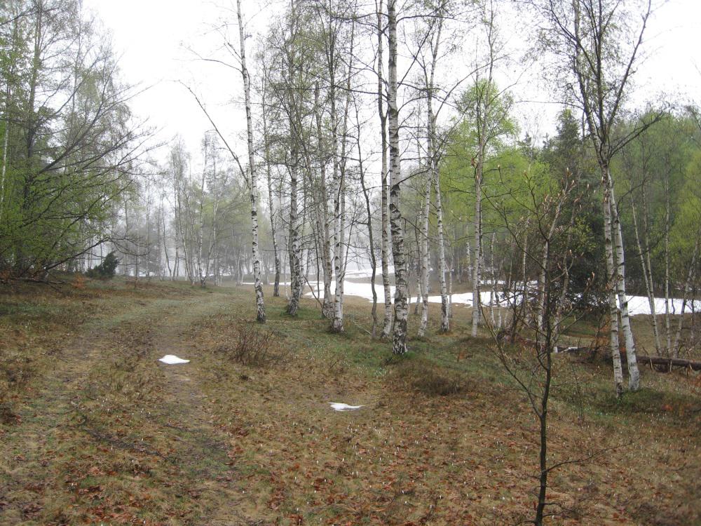 Verso il Bric Uccello 