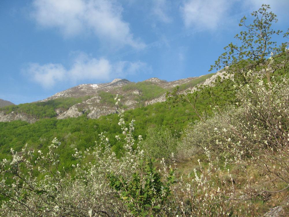 Rocca Vanciarampi da Tetti Barlotto