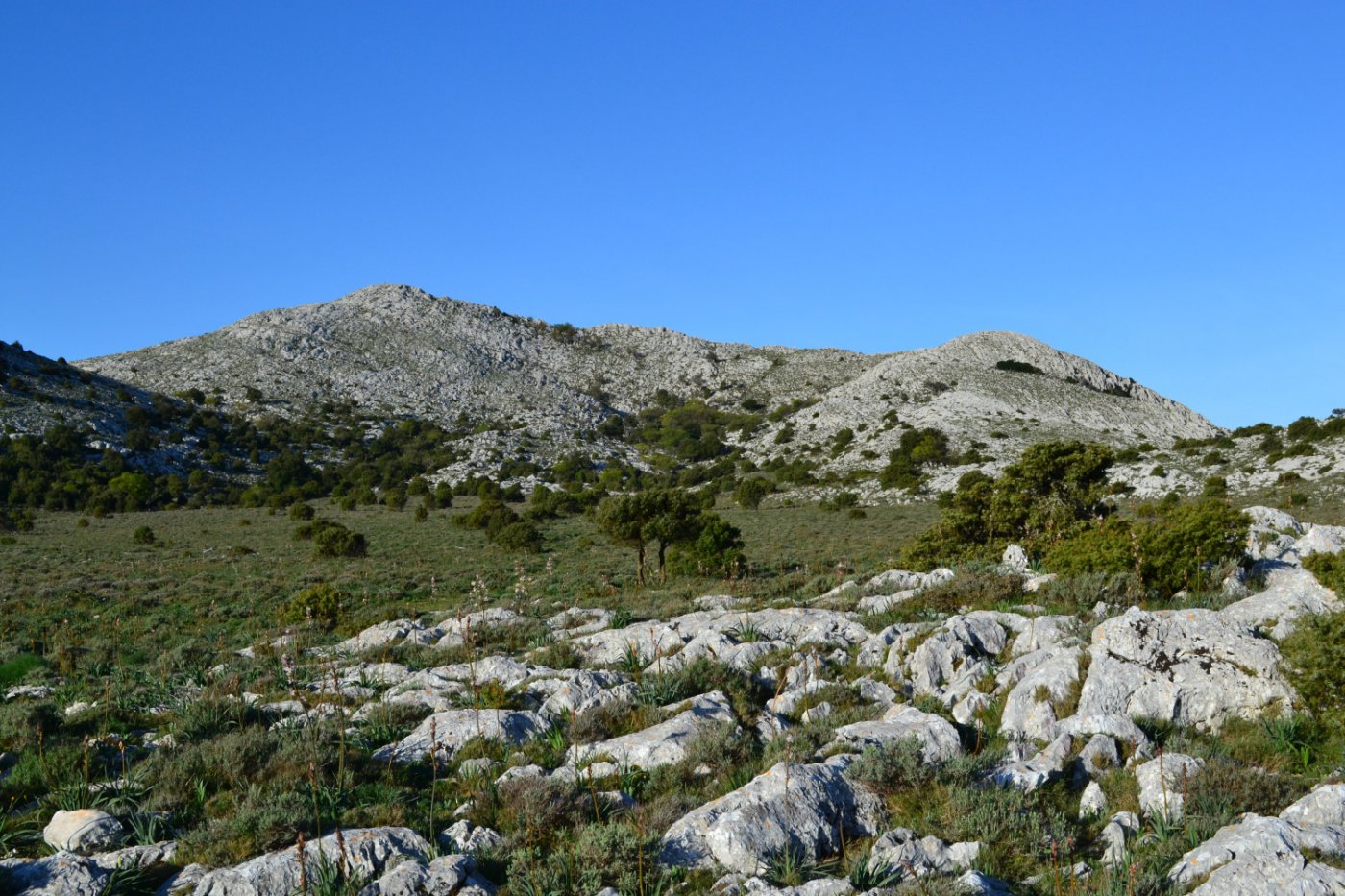l'altipiano di Su Campu 'e Susu con la Punta Catirina a sinistra