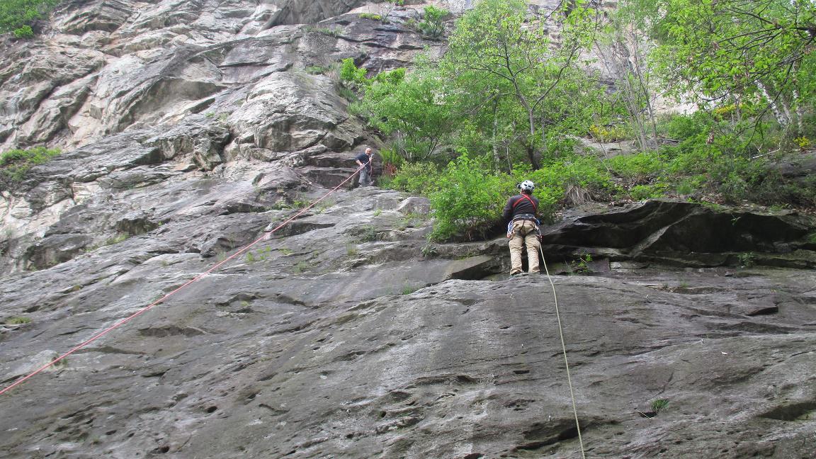 Placche didattiche alla base del settore