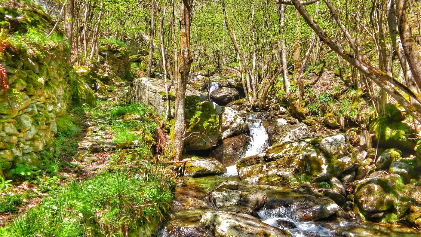 Scorci incantevoli sul sentiero sopra Vasario