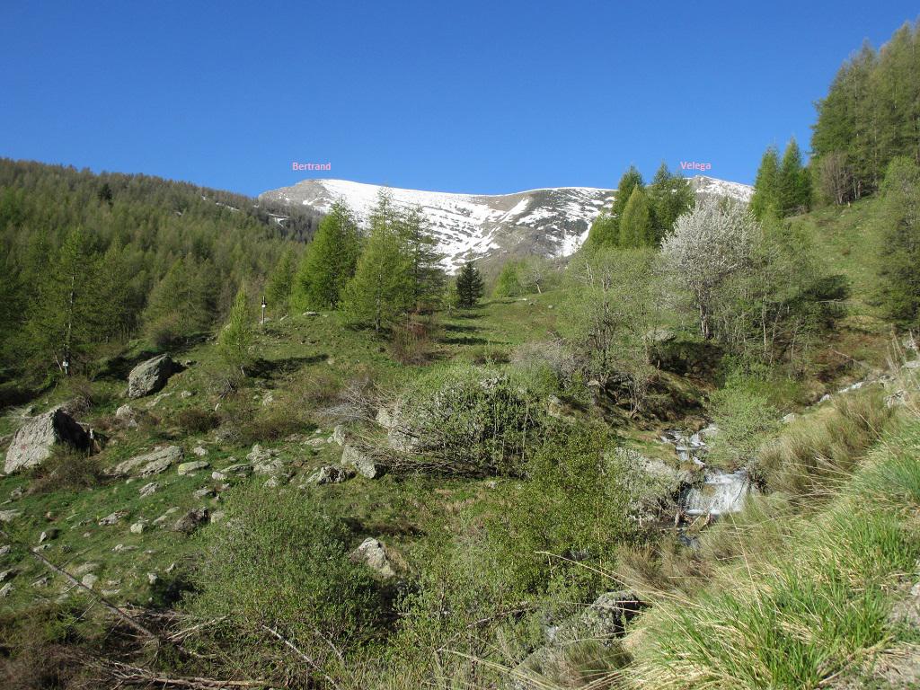 Dopo le case Nivorina