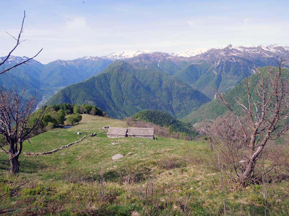 vista dall'alpe pian campello