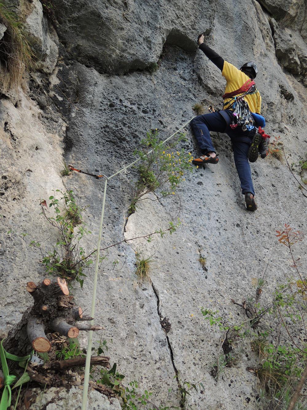 All'attacco della fessura difficle della L6. In primo piano, il ceppo di alberello con fettuccia, dove si sosta
