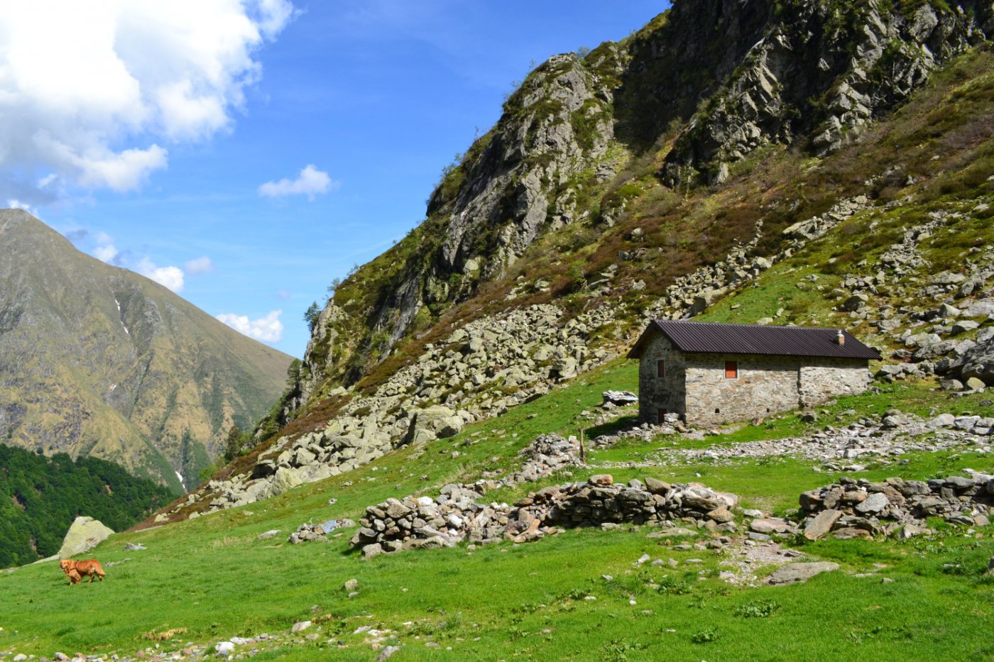 Baita Camedo (1539 m)